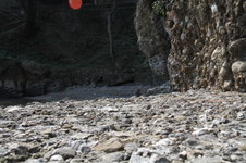 Enlarge photo 57