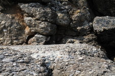 Enlarge photo 59