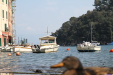 Enlarge photo 123