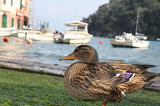 Enlarge photo 124
