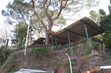 Enlarge photo 125