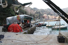 Enlarge photo 131
