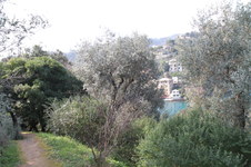 Enlarge photo 134