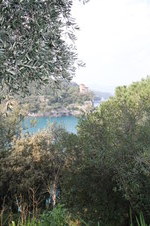 Enlarge photo 135