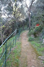 Enlarge photo 136