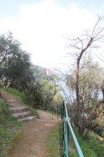 Enlarge photo 137