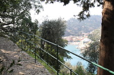 Enlarge photo 141