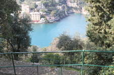 Enlarge photo 142