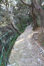 Enlarge photo 143