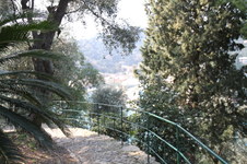 Enlarge photo 144