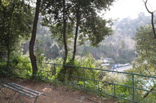 Enlarge photo 145
