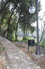 Enlarge photo 146
