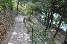 Enlarge photo 147