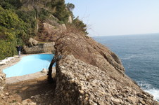 Enlarge photo 154
