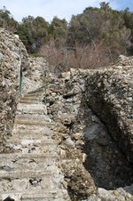 Enlarge photo 165