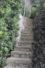 Enlarge photo 169
