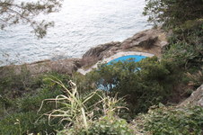 Enlarge photo 172