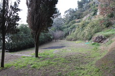 Enlarge photo 173