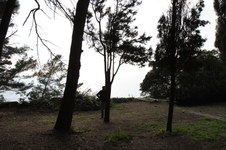 Enlarge photo 174