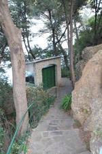 Enlarge photo 182