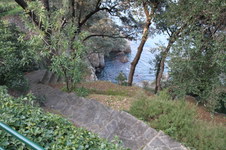 Enlarge photo 184