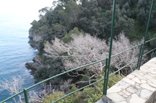 Enlarge photo 190