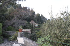 Enlarge photo 191