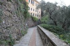 Enlarge photo 192