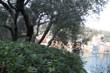 Enlarge photo 193