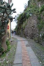 Enlarge photo 195