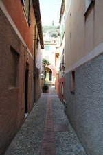Enlarge photo 217