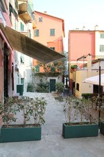 Enlarge photo 223