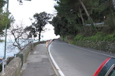 Enlarge photo 232