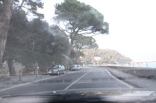 Enlarge photo 238