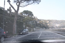 Enlarge photo 239