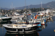 Enlarge photo 250