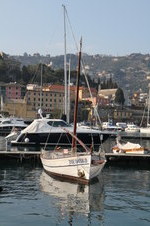 Enlarge photo 252