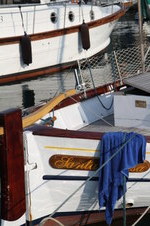 Enlarge photo 261