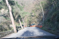 Enlarge photo 272