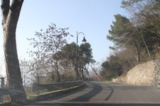 Enlarge photo 274