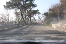 Enlarge photo 275