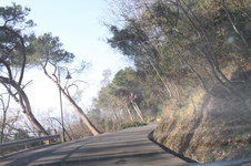 Enlarge photo 276
