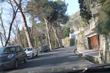 Enlarge photo 281