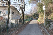 Enlarge photo 285