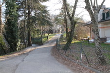 Enlarge photo 286