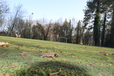Enlarge photo 291
