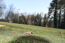 Enlarge photo 292