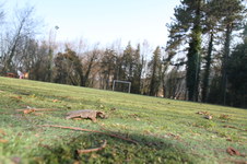 Enlarge photo 293