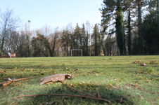 Enlarge photo 294