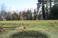 Enlarge photo 295